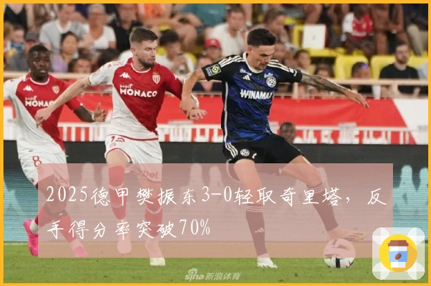 2025德甲樊振东3-0轻取奇里塔，反手得分率突破70%